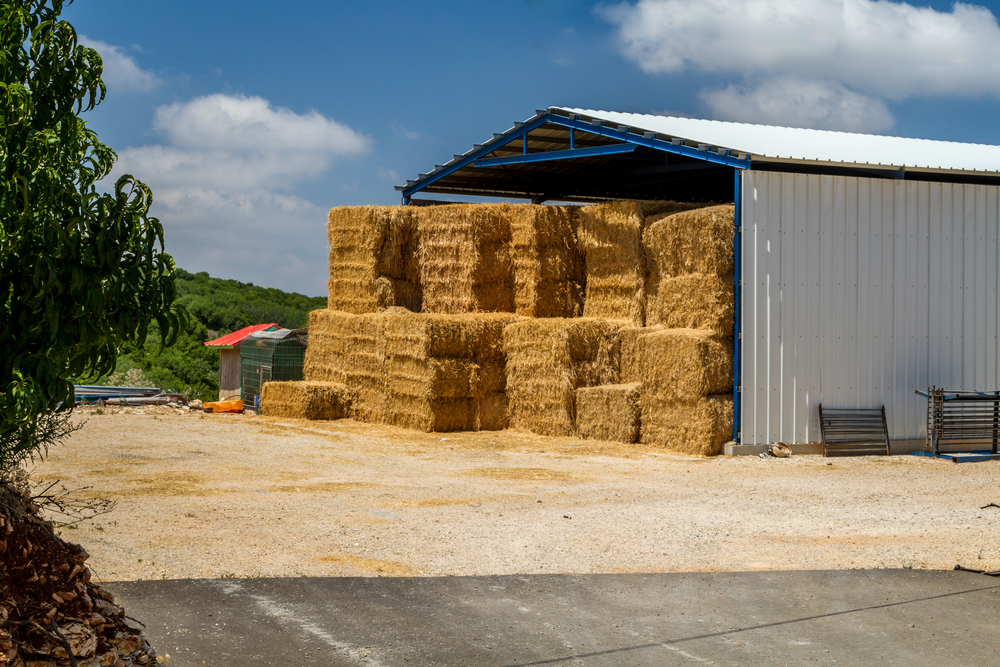 the,hay,storage,shed,full,of,bales,hay,on,farm,